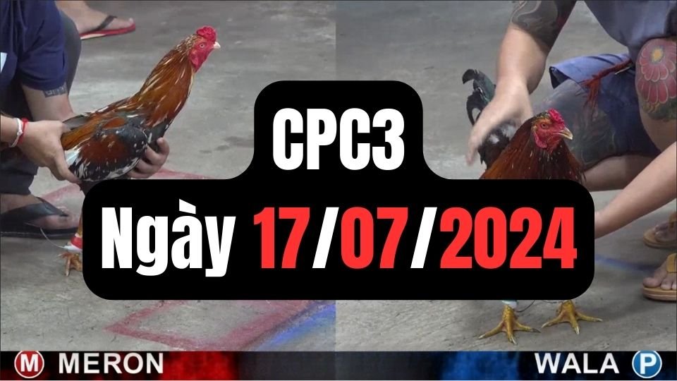 Đá gà thomo CPC3 ngày 17-07-2024