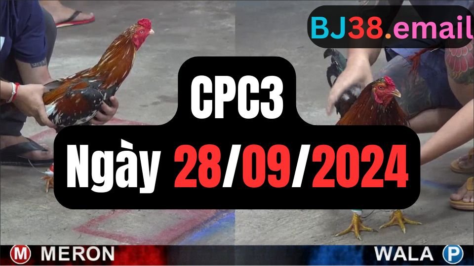 Đá gà thomo CPC3 ngày 28-09-2024